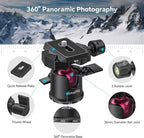 SmallRig Mini Tripod for Camera, Updated Desktop Tabletop Tripod with Arca-Type Compatible QR Plate, 360° Ball Head and 1/4 Screws Portable for Compact Cameras DSLRs, Phone, Gopro - BUT2664