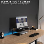 VIVO Monitor and Laptop Stand, 24 inch Desktop Riser, Black, STAND-V000D
