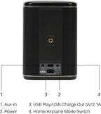 RIVA Upgraded Arena Wi-Fi Bluetooth Hi-Fi Speaker, 6 Drivers, 50W, Multiroom Music System, Supports Airplay 2, Chromecast, Spotify, Tidal and More Streaming (Black)