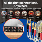 Y.D.F 2 Port Amplifier Speaker Selector, 2(1)-in-1(2)-Out Amp Speaker Switcher Selector, AMP A/B Switch Splitter 2-Way Loudspeaker Control Combiner Box