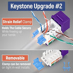 Everest 45° Angled RJ45 Cat5e Keystone Jacks 50-Pack in Purple - Slim Profile Female RJ45 Connectors - Cat 5e Keystone Jack - Compatible with 45° Angled Speed Termination Tool - 45Term (B0BL3GS7ZY)