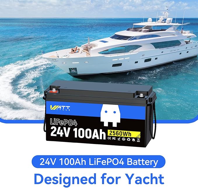 24V 100Ah LiFePO4 Lithium Rechargeable Battery, Max.2560Wh, Built-in 100A BMS, A+ Cells, Low-Temperature Protection, Higher Power Output Efficiency - Ideal for RVs, Other 24V Equipment