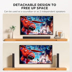 2.2ch 100W Sound Bar for Smart TV, 2-in-1 Detachable Bluetooth 5.3 Speaker with 3 EQ Modes & Adjustable Bass - Home Theater Audio for Movies, Gaming, Music