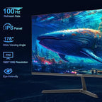 SANSUI 24 inch Monitor, IPS Display FHD Computer Monitor, 100Hz Monitor VESA Mount with HDMI Inputs for Home Office (HDMI Cable Included)