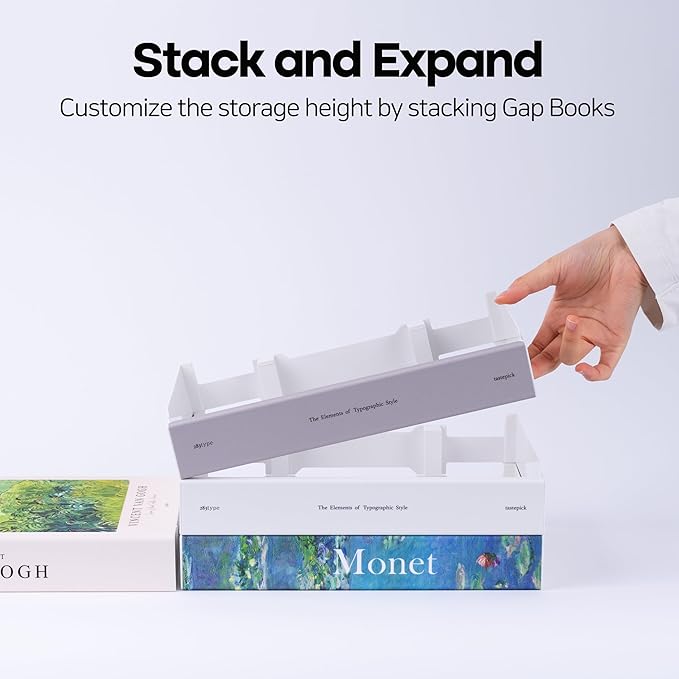 Book Shape Decorative Cable Management Box - Expandable Cable Organizer Box with Magnetic Closure for Home & Office (Libert Paris, Standard)