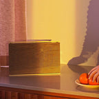 Bang & Olufsen Beosound Level Portable Wi-Fi Multiroom Speaker, Gold Tone/Light Oak
