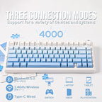 EPOMAKER x Aula F75 Gasket Mechanical Keyboard, 75% Wireless Hot Swappable Gaming Keyboard with Five-Layer Padding&Knob, Bluetooth/2.4GHz/USB-C, RGB (Blue Gradient, LEOBOG Reaper Switch)