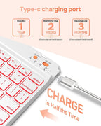Folio Keyboard Case for iPad 10th Gen 10.9 inch (2022) and iPad 11th (A16, 2025), Magnetic Wireless Detachable Keyboard, 7-Color Backlight, Thin & Light, Pencil Holder (Pink)