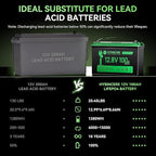 12V 100Ah LiFePO4 Battery BCI Group 31 Lithium Battery, Deep Cycle Battery with 100A BMS, 1280Wh Energy, Up to 15000 Cycles & 10-Year Lifespan for Trailer RV, Marine, Home Energy System-2 Packs