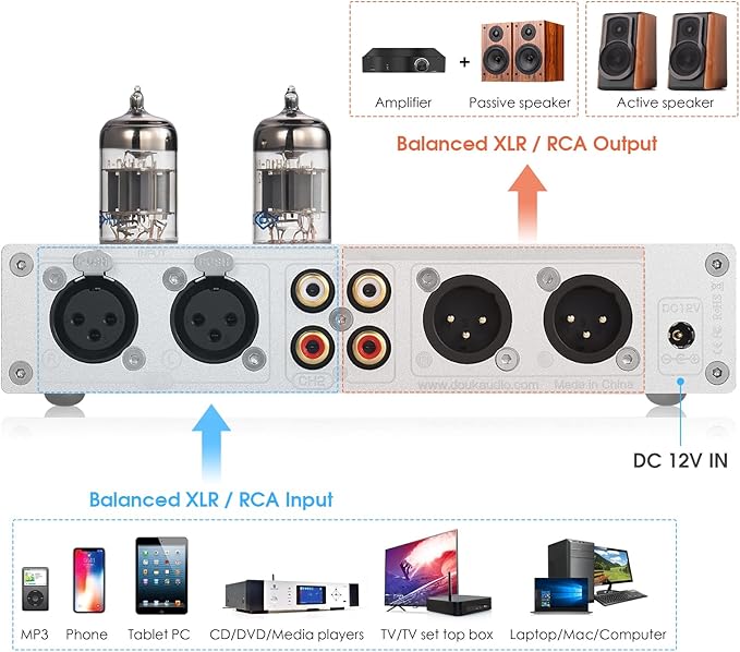 Douk Audio HiFi Vacuum Tube 7-Band EQ Preamp Equalizer XLR Pre-Amplifier Home (T8 PRO Silver)