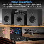Douk Audio NS-13G MAX 300Wx2 Stereo Amplifier with Phono Input - HiFi Class D Mini Power Amp for Home Theater, Turntables, Studio Monitor | TPA3255 Chip, RCA/MM Inputs, Bass/Treble Control (DC 48V)