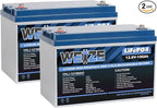 WEIZE 12V 100Ah LiFePO4 Battery Group 31 Lithium Battery, Built-in 100A BMS, Low Temperature Protection Deep Cycle Battery for Trolling Motor, RV, Solar, Marine, Camping, Home Energy Storage (2 Packs)
