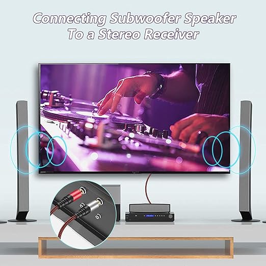 RCA Cable 30Ft,2Rca Male to 2-RCA Male Audio Stereo Subwoofer Cable [Hi-Fi Sound] Nylon-Braided Auxiliary Audio Cord for Home Theater, HDTV, Amplifiers, Hi-Fi Systems,Speakers and etc (30Ft)