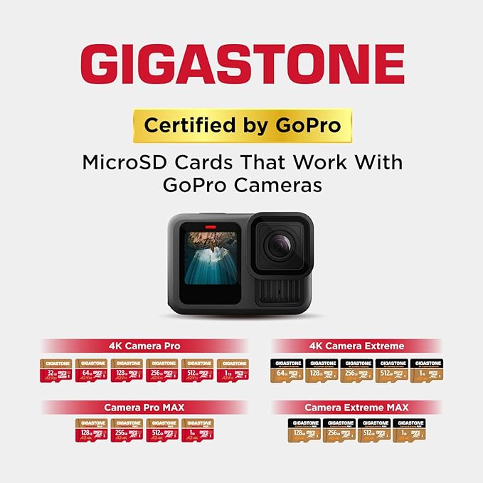 [5-Yrs Free Data Recovery] GIGASTONE 256GB Micro SD Card, 4K Camera Pro, A2 V30 for Smartphone, Gopro, Action Cams, 4K UHD Video, Nintendo-Switch Compatible, Up to 100MB/s, UHS-I U3 C10 with Adapter