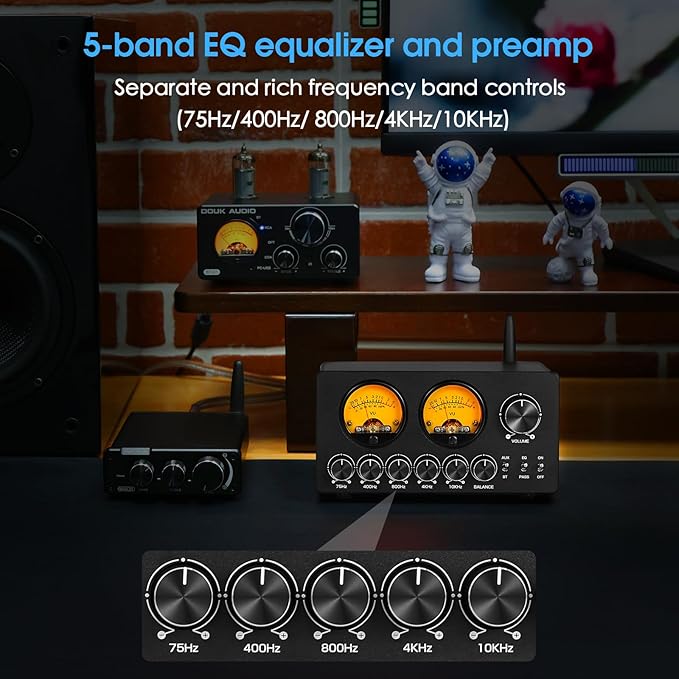 Douk Audio 5 Band Equalizer Bluetooth EQ Preamp for Home Stereo/Computer Speaker/Amplifier with VU Meter (EQ5 Tone Upgraded Version)