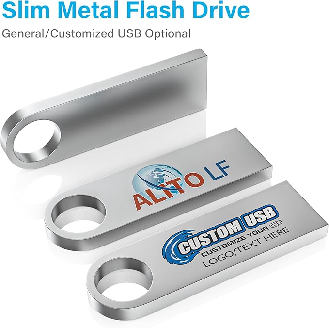 ABLAZE 1GB Flash Drive 10 Pack, Metal USB 2.0 Thumb Drives with Keychains USB Sticks Pendrives (Sliver)