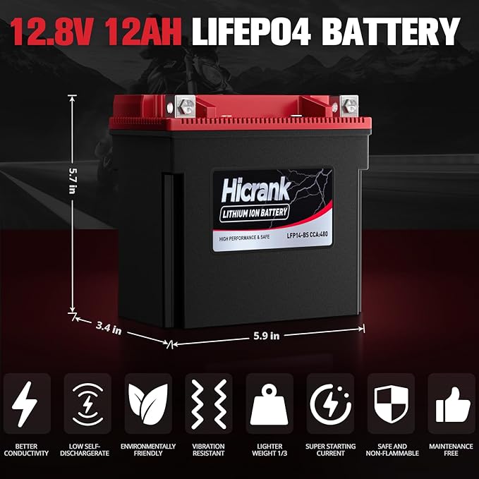 YTX14-BS, 400CCA, Lithium LiFePO4 Motorcycle Battery, Digital Readout,Fits for Kawasaki Ninja ZX-14R,Apirilia 850cc Scooter,Yamaha 660 cc ATV,Apex 1000cc Snowmobile,Honda Pioneer series UTV