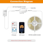 PAUTIX RF WiFi Smart Remote Dimmer for Single Color LED Strip Lights,Compatible with Alexa and Google,14-Key Wireless Remote,DC 12-24V Controller for 3528/2835/5050/COB LED Strip Light