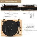 Vinyl Record Player 3-Speed Belt-Drive Turntable with Stereo Speakers and USB Play&Recording (Light Wood)