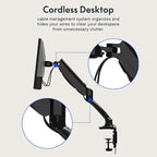 FlexiSpot Single Monitor Stand for Desk Adjustable Spring Vesa Monitor Mount with C Clamp for 10 to 27 Inch Computer Screens Heavy Duty Monitor Arm Hold up to 3.3 to 11lbs, Black