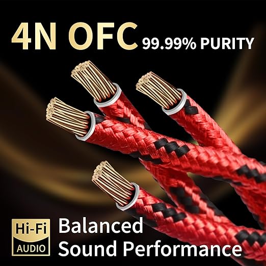 10 AWG Audiophile HiFi Speaker Audio Cable–4N OFC Core,24K Gold-Plated Banana Plugs with Nylon Braid,Compatible with Amplifier,Speakers,AV Receiver & Home Theater(9.84ft/3m) 2-Pack