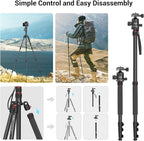 SmallRig Camera Tripod, 71" Foldable Aluminum Tripod/Monopod, 360°Ball Head Detachable, Payload 33lb, Adjustable Height from 16" to 71" for Camera, Phone