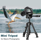 JOILCAN Mini Tripod for Camera, 25" Tabletop Camera Tripod, Portable Travel Tripod w/Phone & Tablet Holder, Lightweight Aluminum Tripods for DSLR Phone Spotting Scope