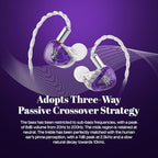 Linsoul Kiwi Ears Orchestra Lite Performance Custom 8BA in-Ear Monitor IEM with Detachable 4-core 7N Oxygen-Free Copper OFC Cable, Handcrafts Faceplate for Audiophile Studio Musician (Purple)