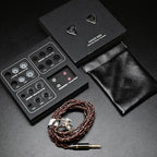 MS3 in-Ear Monitors, 2BA+1DD Hybrid IEM Wired Earphones, Includes 3 Pneumatic Tuning Filters - Exclusive Adjustable Soundstage for Instruments, Detachable Cable for Audiophile/Musician 3.5mm