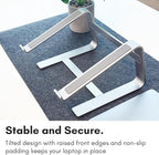 Macally Aluminum Laptop Stand for Desk - Works with All MacBook/Pro/Air & Laptops Between 10” to 17.3” - Sleek and Sturdy Laptop Riser - (ASTANDSG), Space Gray