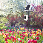 Universal Ground Stake Mount Bracket for Outdoor Security Cameras and Solar Panels, Compatible with Ring, Blink, Eufy, Google Nest, Arlo, Wyze, SimpliSafe, 1/4 Screw Cameras (Black)