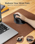 ProtoArc Vertical Wireless Trackball Mouse, EM05 NL Bluetooth Ergonomic Rollerball Mouse Rechargeable Computer Laptop Thumb Mice, 3 Device Connection, Compatible with iPad, Mac, Windows, PC-Silver