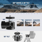 NEEWER Basic Mini Ball Head, Portable Tripod Head Camera Mount Adapter with 1/4" Screw for Compact DSLR Action Cam Phone LED Ring Light Monopod Slider, 4.4lb Max Load, 360° Swivel & 90° Tilt, GM01