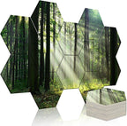Mollywell Art Acoustic Panels, Soundproofing, Wall Decoration, Suitable for Decorative Soundproof Wall Panels, Room Aesthetics & Echo Reduction (Forest Summer), 12x10x0.4 Inch