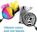 HP 910XL Cyan High-yield Ink Cartridge | Works with HP OfficeJet 8010, 8020 Series, HP OfficeJet Pro 8020, 8030 Series | Eligible for Instant Ink | 3YL62AN