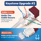 Everest 45° Angled RJ45 Cat6 Keystone Jacks 20-Pack in Red - Slim Profile Female RJ45 Connectors - Cat 6 Keystone Jack - Compatible with 45° Angled Speed Termination Tool - 45Term (B0BL3GS7ZY)