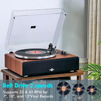 Record Player with Speakers,Turntables for Vinyl Records with Magnetic Cartridge for Home Decoration & Entertainment,Vinyl Record Player Will be a for Birthday and Christmas