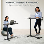 FLEXISPOT Mobile Standing Desk with Wheels Pneumatic Laptop Desk Rolling Computer Cart Movable Height Adjustable Small Sit Stand Desk Computer Workstations Home Use（27.6" W x 15.7" D, Black