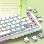 KEMOVE P10 2-in-1 Switch Puller Keycap Puller for Mechanical Keyboard, 304 Stainless Steel Key Switch Keycap Puller, Easily Remove and Replace Gaming Keyboard Switches and keycaps - Green