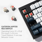 Keychron Q5 Max Wireless Custom Mechanical Keyboard, 2.4 GHz Bluetooth QMK Full Aluminum 96% Layout RGB with Hot-swappable Gateron Red Switch Compatible with Mac Windows Linux