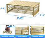 gianotter Computer Monitor Stand Riser, office organizer with Drawer, Office Organizers Storage for Classroom Office Supplies (Gold)