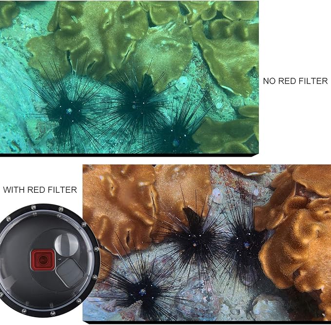 Dome Port Lens for GoPro Hero 5 6 7 Black Hero (2018), Dome Port with Waterproof Housing Case, Trigger, Floating Hand Grip, Built-in Switchable Red Filter and 10x Macro Filter